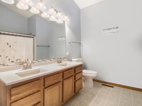 2921 Twin Falls Dr, Plainfield, IL 60586 photo 15