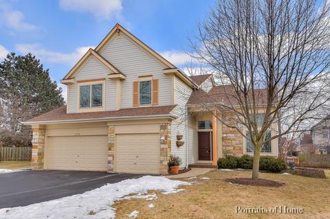 1509 Meridian Ct, Bartlett, IL 60103 photo 1
