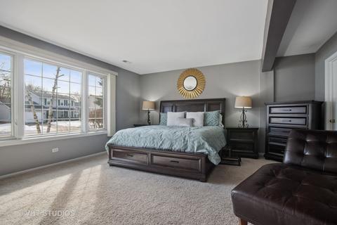 222 Mayer Ave, Wheeling, IL 60090 photo 14