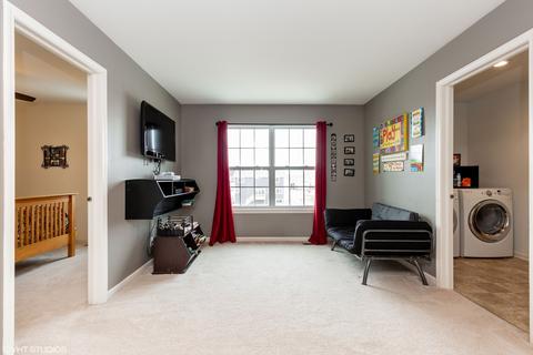 338 Snow Drop Ln, Elgin, IL 60124 photo 10