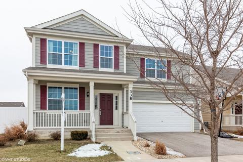 338 Snow Drop Ln, Elgin, IL 60124 photo 1