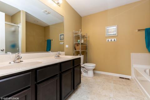 338 Snow Drop Ln, Elgin, IL 60124 photo 13