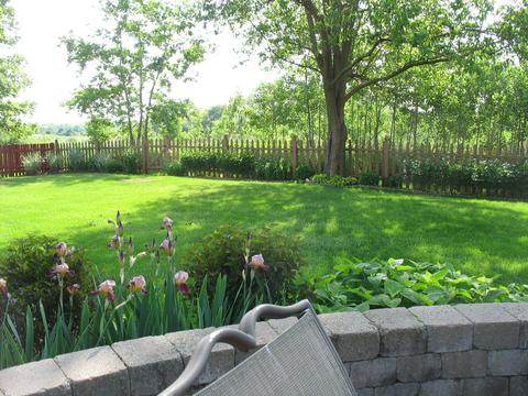 1466 Polo Dr, Bartlett, IL 60103 photo 5