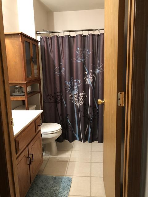 4604 Bluejay Ln, Plainfield, IL 60586 photo 8