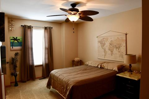 1206 Alene Dr, Plainfield, IL 60586 photo 22