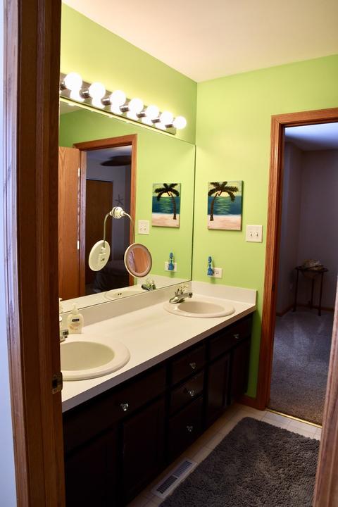 1206 Alene Dr, Plainfield, IL 60586 photo 21