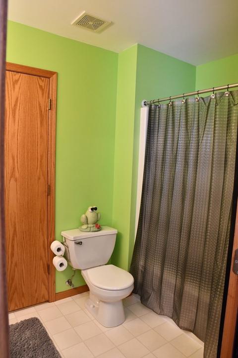 1206 Alene Dr, Plainfield, IL 60586 photo 20