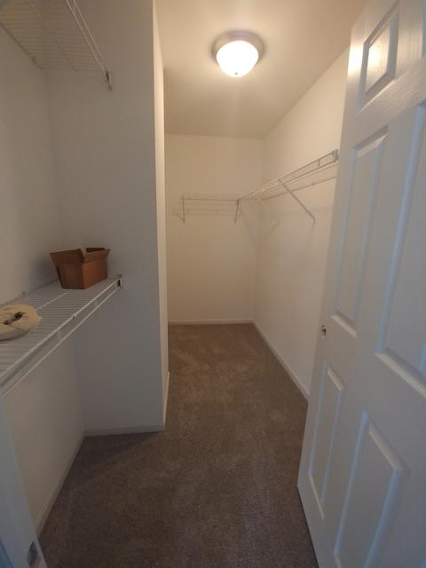 1111 Spinnaker St, Elgin, IL 60123 photo 9
