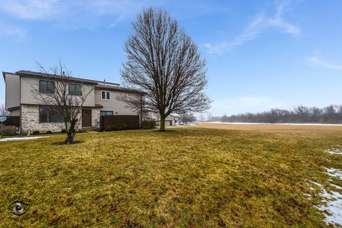 266 Circlegate Rd, New Lenox, IL 60451 photo 24