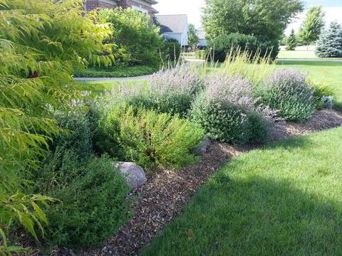 1811 Castlebar Rd, Mchenry, IL 60050 photo 26