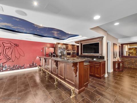 8269 Greystone Ct, Burr Ridge, IL 60527 photo 28