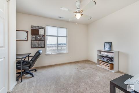 941 Canham St, Plano, IL 60545 photo 21