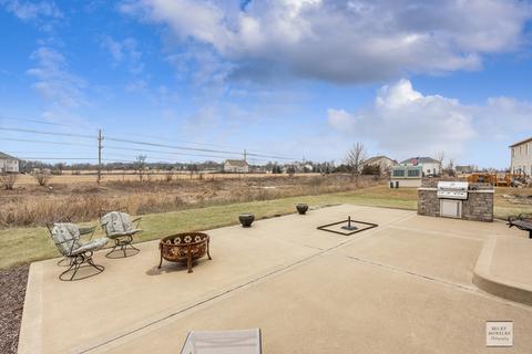941 Canham St, Plano, IL 60545 photo 28