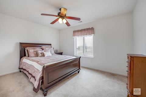 941 Canham St, Plano, IL 60545 photo 20
