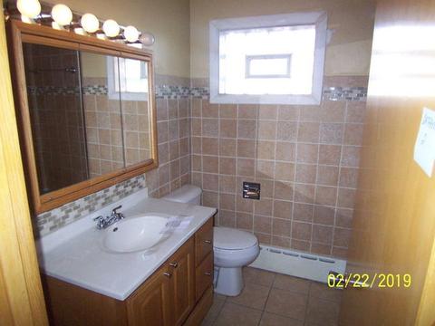 1108 E 156th Pl, Dolton, IL 60419 photo 8