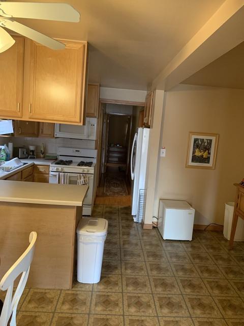 534 E 88th Pl, Chicago, IL 60619 photo 4