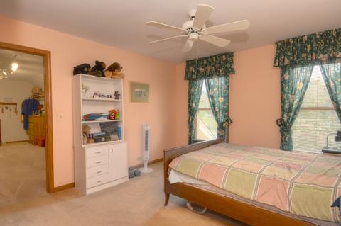 512 Greens View Dr, Algonquin, IL 60102 photo 14