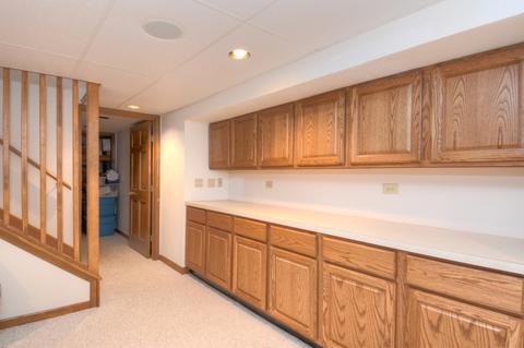 512 Greens View Dr, Algonquin, IL 60102 photo 20
