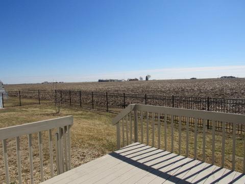335 Richardson Dr, Weldon, IL 61882 photo 17
