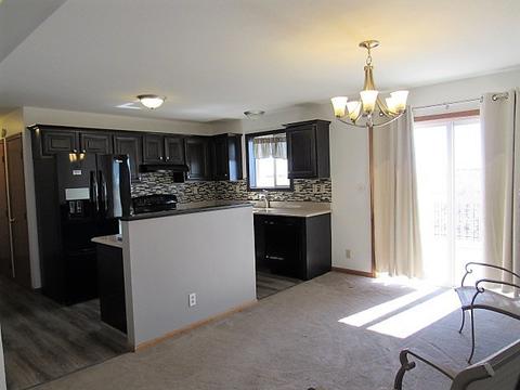 335 Richardson Dr, Weldon, IL 61882 photo 6