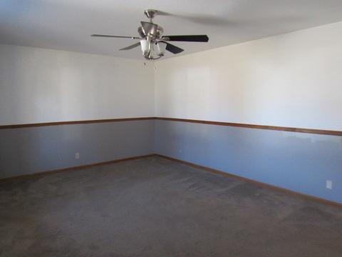 335 Richardson Dr, Weldon, IL 61882 photo 9