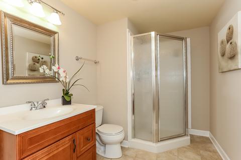2266 Red Maple Ln, Aurora, IL 60502 photo 41
