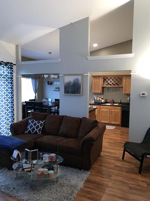 5249 Mayfair Ln, Matteson, IL 60443 photo 5