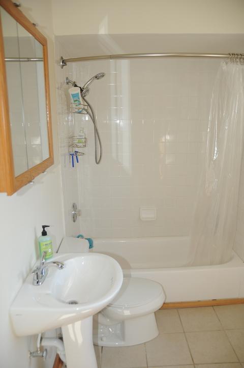 316 1st St, Wheeling, IL 60090 photo 22