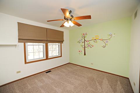 4574 Opal Dr, Hoffman Estates, IL 60192 photo 14