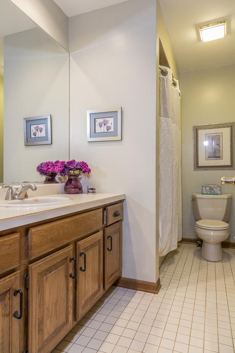 407 Surrey Rd, Bartlett, IL 60103 photo 30