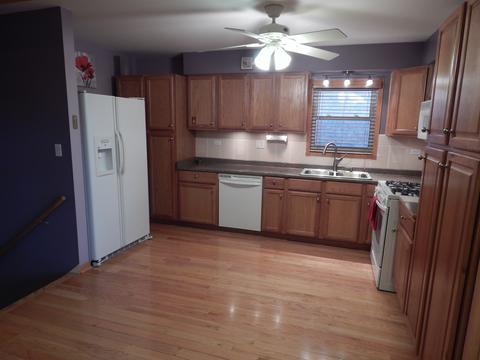 7533 Lorel Ave, Burbank, IL 60459 photo 7