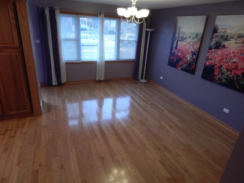 7533 Lorel Ave, Burbank, IL 60459 photo 10