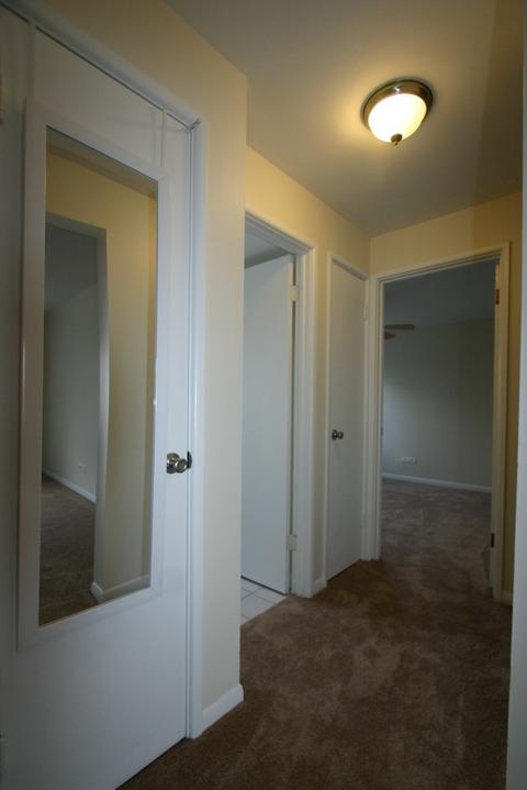 6846 W Lode Dr #2B, Worth, IL 60482 photo 15