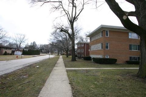 6846 W Lode Dr #2B, Worth, IL 60482 photo 3