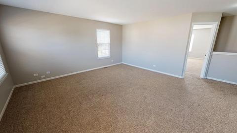 306 Schmidt St, Plano, IL 60545 photo 45