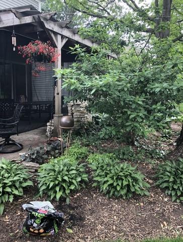 204 E 14th Ave, Naperville, IL 60563 photo 28