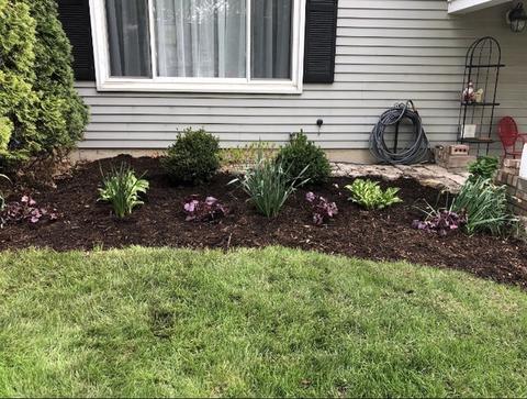 204 E 14th Ave, Naperville, IL 60563 photo 23
