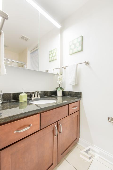 436 E 48th Pl #1, Chicago, IL 60653 photo 12