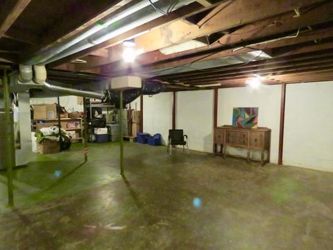 203 E Douglas St, Carlock, IL 61725 photo 20