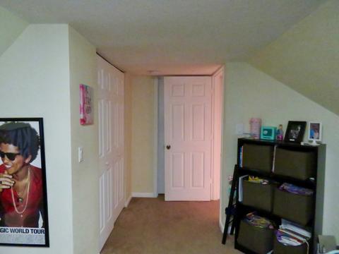 203 E Douglas St, Carlock, IL 61725 photo 16