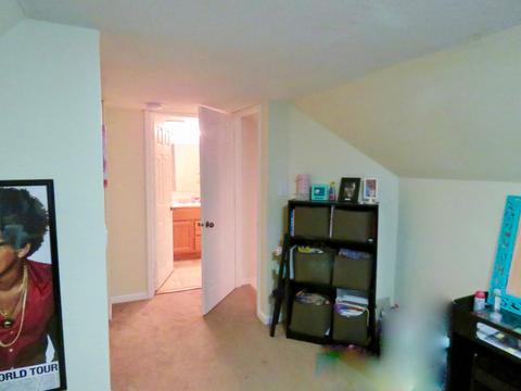 203 E Douglas St, Carlock, IL 61725 photo 18