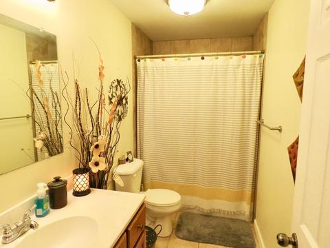 203 E Douglas St, Carlock, IL 61725 photo 14