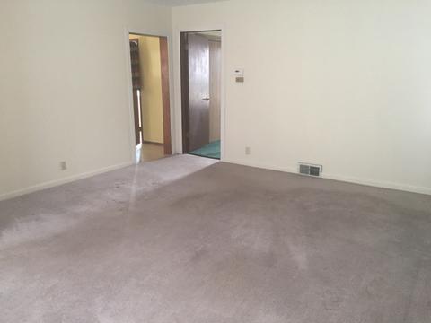 315 W Devlin St, Spring Valley, IL 61362 photo 5