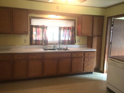 315 W Devlin St, Spring Valley, IL 61362 photo 7