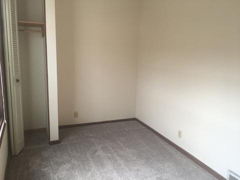 315 W Devlin St, Spring Valley, IL 61362 photo 13