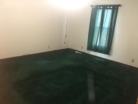 315 W Devlin St, Spring Valley, IL 61362 photo 10