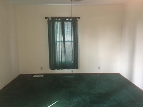 315 W Devlin St, Spring Valley, IL 61362 photo 9
