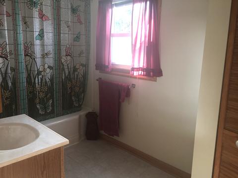 315 W Devlin St, Spring Valley, IL 61362 photo 12