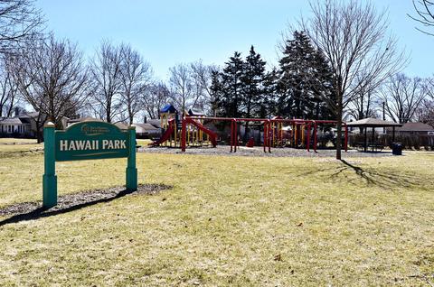 580 Polynesian Dr, Des Plaines, IL 60016 photo 10