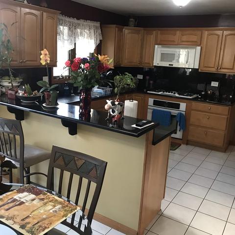 9 N874 Bowes Bend Dr, Elgin, IL 60124 photo 10
